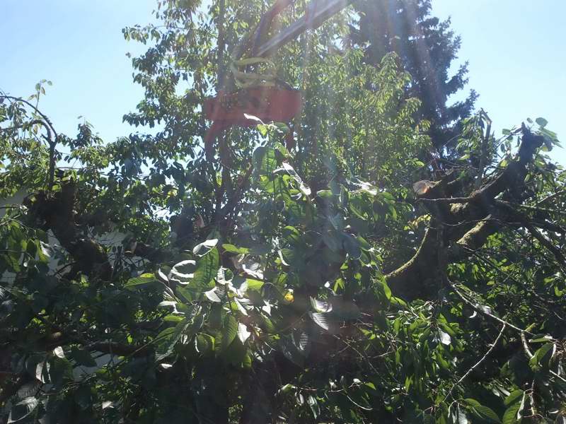 2012-08-18 11_020.40.54.jpg