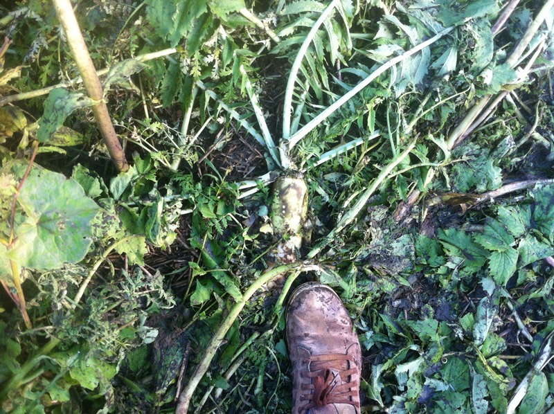 Bilder 17.10 004.JPG