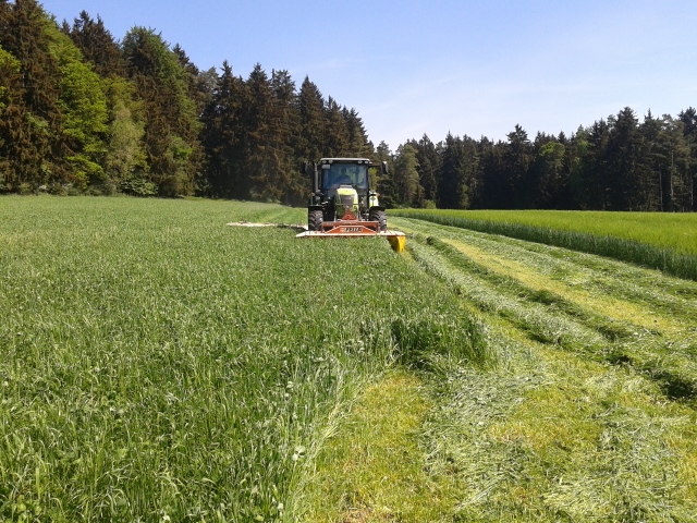 2015-05-16 11.13.23 (640x480).jpg