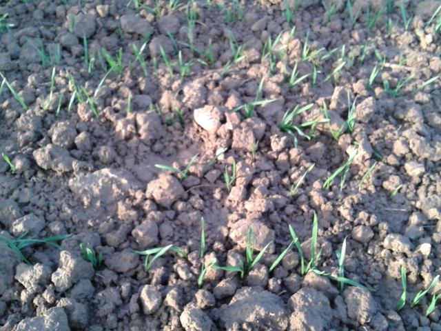 2014-12-23 14.52.45 (640x480).jpg