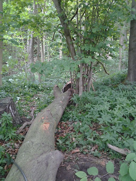 2014-05-10 13.49.45.jpg