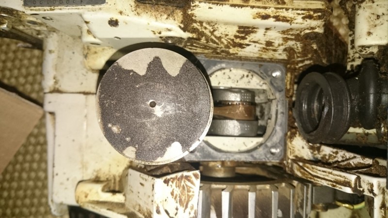 DSC_1221 (Medium).JPG