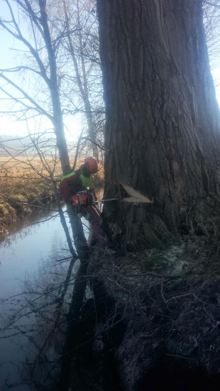 Fallkerb Kunststück.jpg