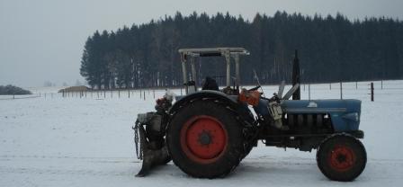 Waldarbeit_Januar_2009_03.jpg