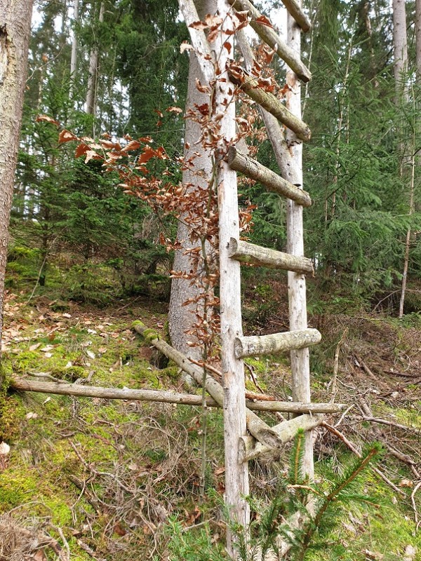 Jägerleiter stört.jpg