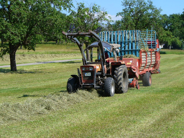 P1050106.JPG
