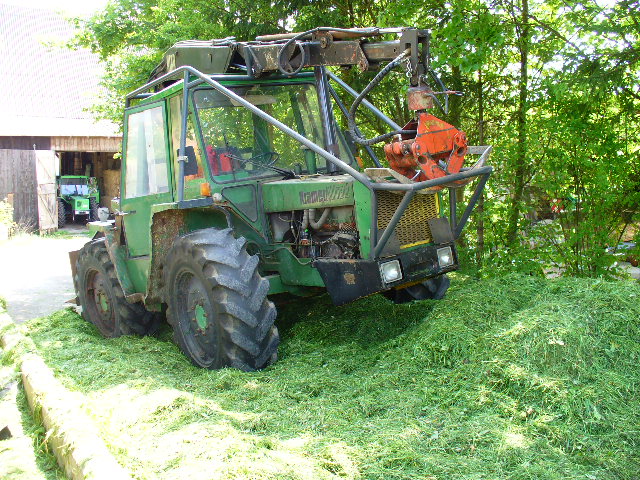 P1050047.JPG
