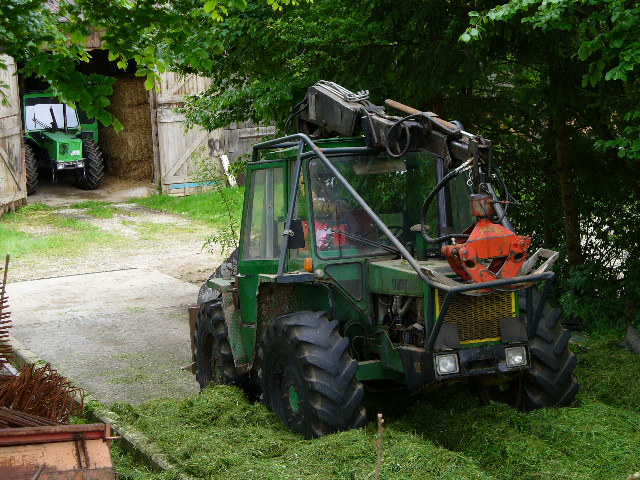 P1050054.JPG