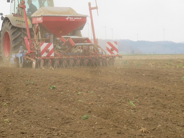 Z`Rübenacker 9.4.18.jpg