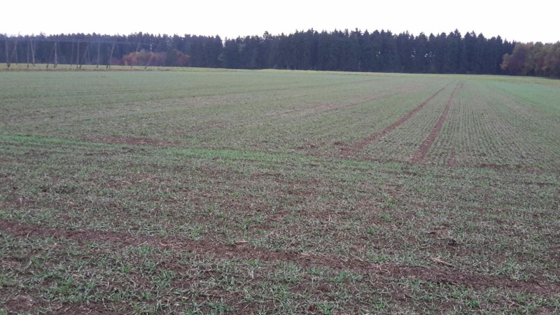 WhatsApp Image 2016-11-06 at 16.28.15.jpeg