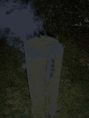 Resize of Rotation of SV100220.JPG