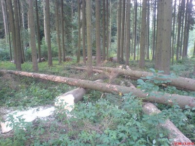 12-Aug-2013_v2.jpg
