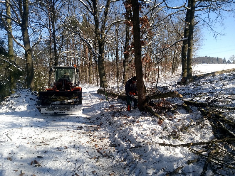 IMG_20210213_115253.jpg