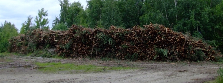 LU-Holz2-klein.JPG