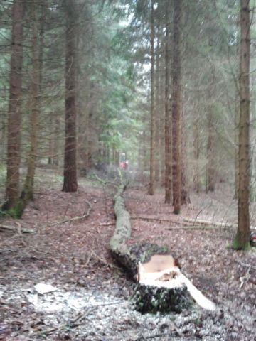 2012-11-17 12.36.59.jpg