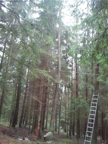 2012-11-17 11.00.49.jpg