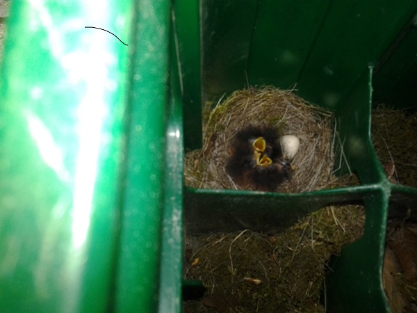 2014-05-01 11.57.29.jpg