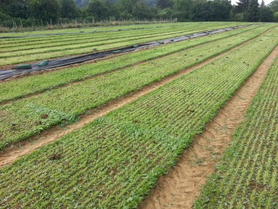 20130718_094852_2.jpg
