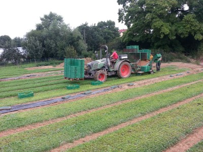 20130718_074502_2.jpg