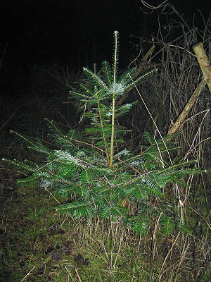 PICT2859 - Kopie.png