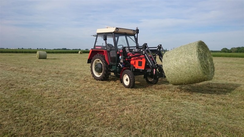 DSC_2413 (Mittel).JPG