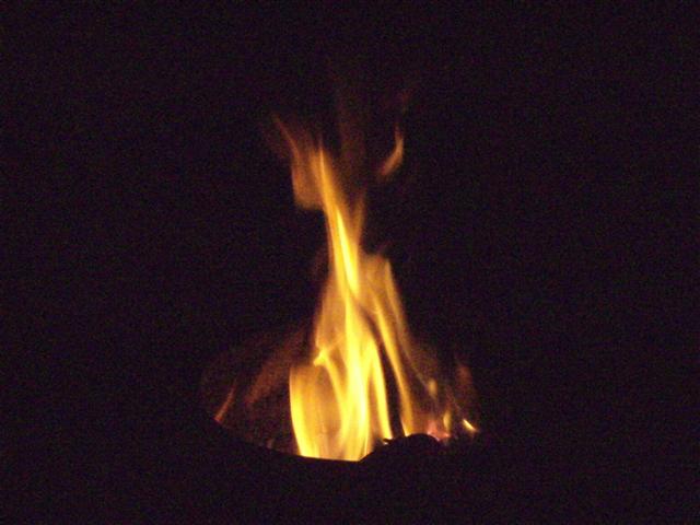 DSCI1540 (Small).JPG