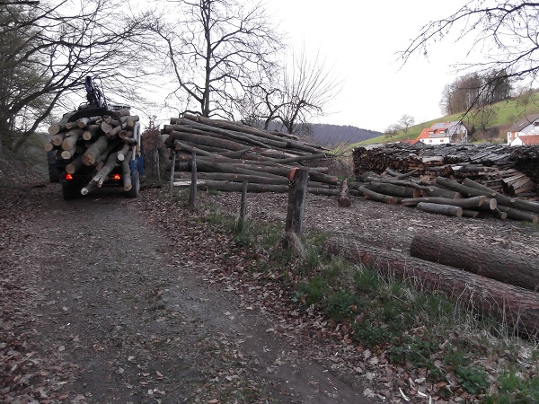 Holzabfuhr 2012 erster Teil 012.JPG