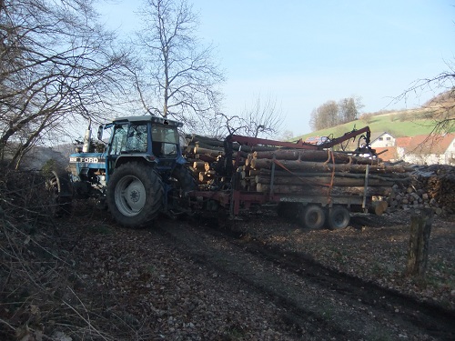 Rücken und Abtransport 2011 263.JPG