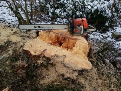 IMG-20130209-WA0006 (800x600).jpg