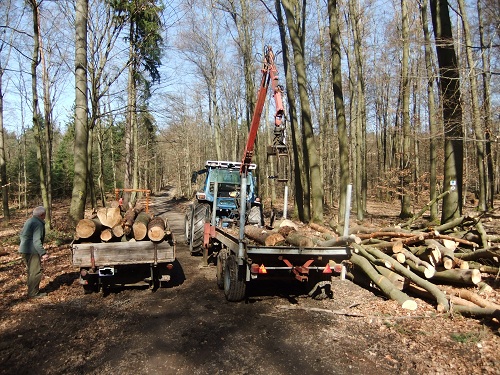 Rücken und Abtransport 2011 244.JPG