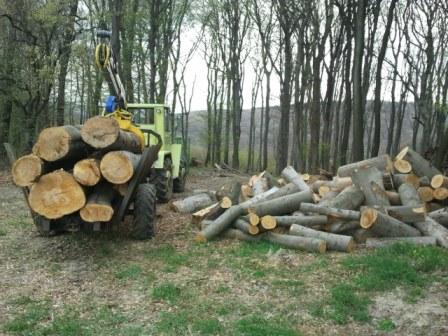 2011-04-06 16.31.47.jpg