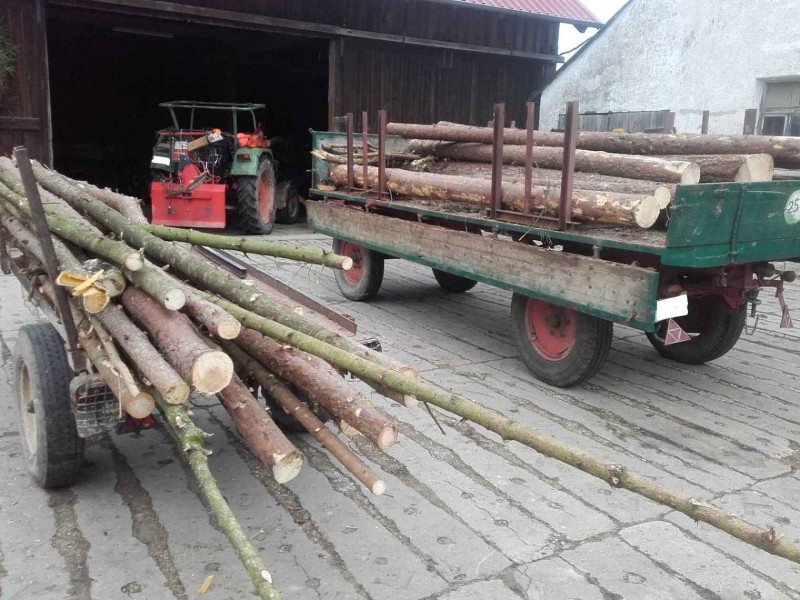 2017-12-02 Holz sortiert.jpg