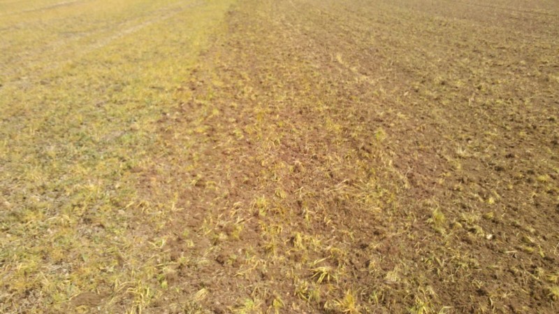 Mais 2014-04-24 1.jpg