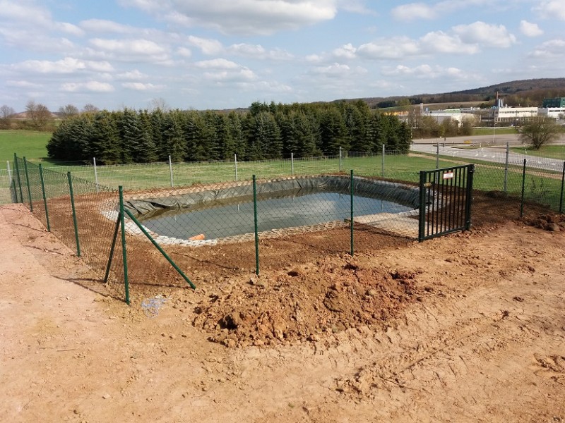 20170402_154637 (1).jpg