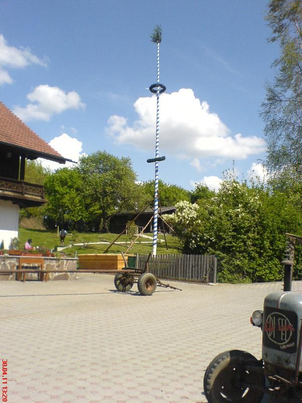 30_April_2011_Maibaum.jpg