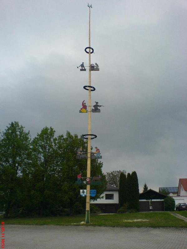 01_Mai_2011_Maibaum.jpg