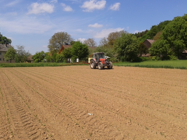 2015-05-13 12.05.32 (640x480).jpg