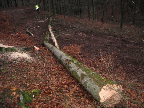 06.jpg