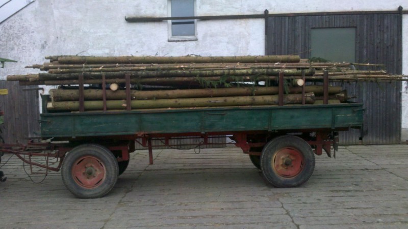 Waldarbeit 2015 4.jpg