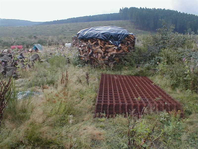 P9050011 (Medium).JPG