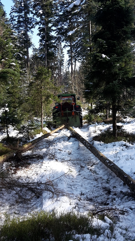 k-zwei mal Brennholz.jpg