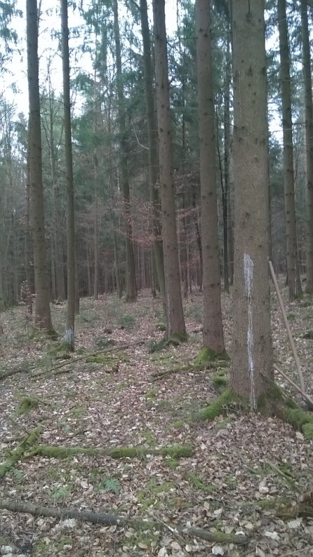 WP_20170226_09_55_04_Pro - Kopie.jpg