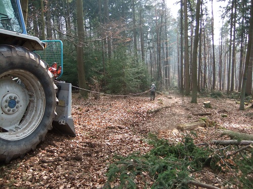 Waldarbeit und Werkzeug 2011 032.JPG