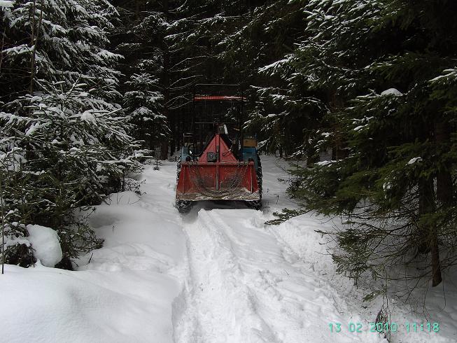 Eicher verkleinert 2.JPG