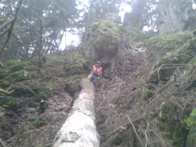 2013-12-13 15.09.24 (640x480).jpg