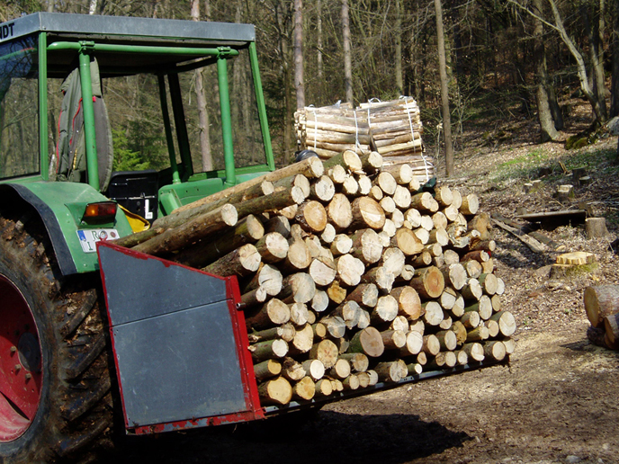 Restarbeiten 17.04.2010 002.jpg