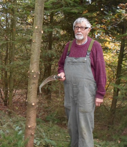 0 mit Entastungssäge.jpg