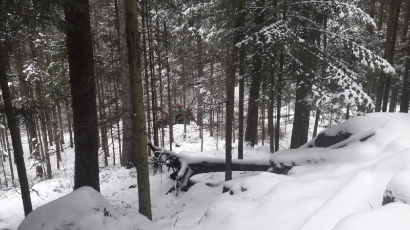 01.03.2018 2 228.jpg