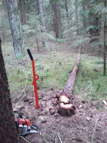 2012-11-17 14.32.51.jpg