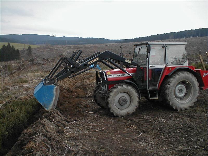 Bild 031 (Medium).jpg